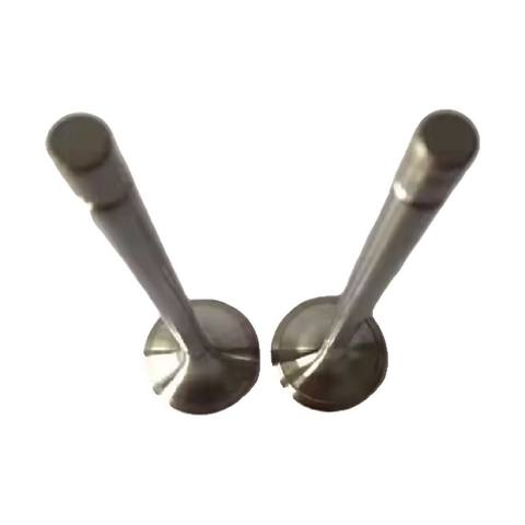 Suitable for VOLVO D13A Factory Diesel Engine EXHAUST Valve 20768519, 845011, 211-4308, 21